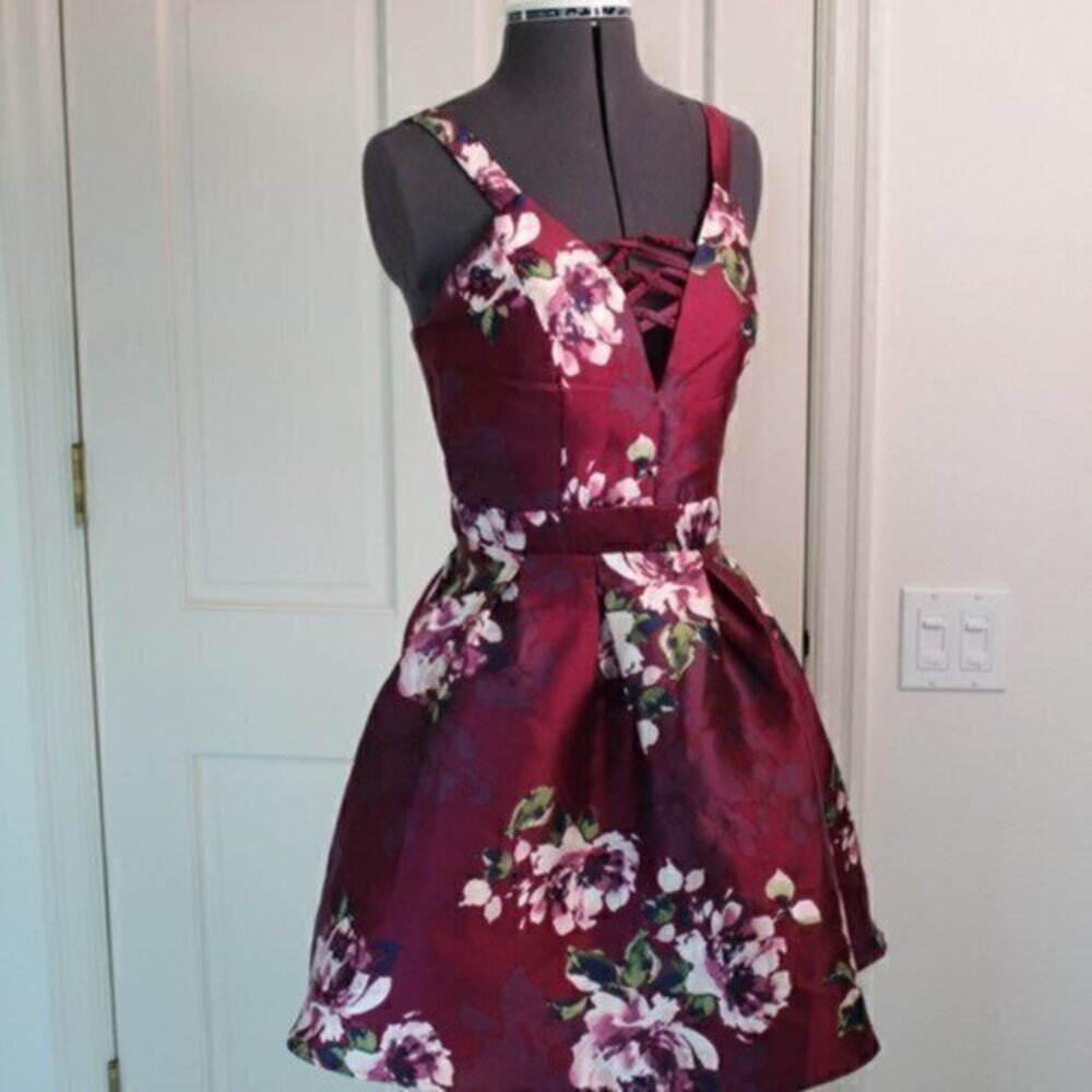 Crystal Doll dress Jr Dress Size 1 Burgundy and flowers